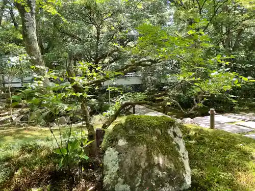 西芳寺(京都府)