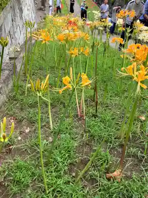 横浜　西方寺(神奈川県)