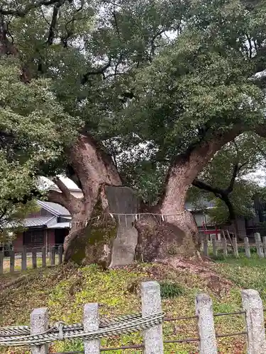 村上社(愛知県)