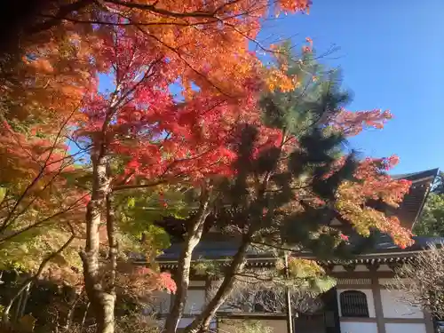 円覚寺(神奈川県)