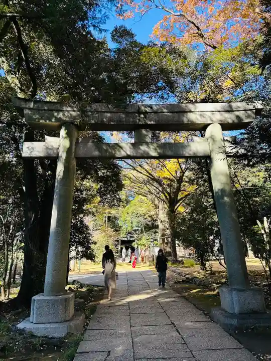 赤坂氷川神社(東京都)