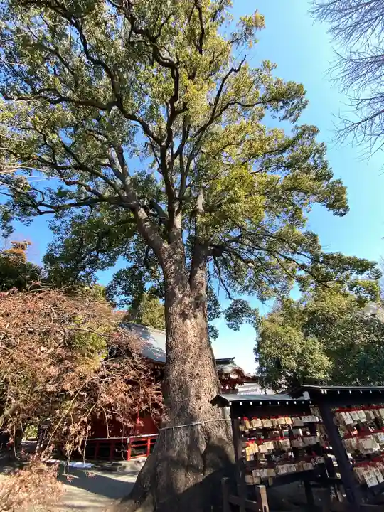冠稲荷神社(群馬県)
