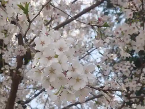 宇都母知神社(神奈川県)