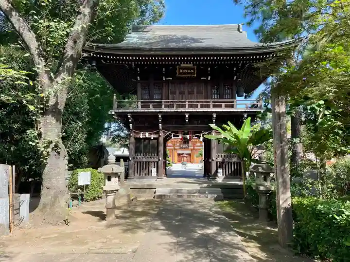 大円寺(東京都)