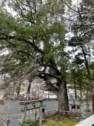 事任八幡宮の鳥居