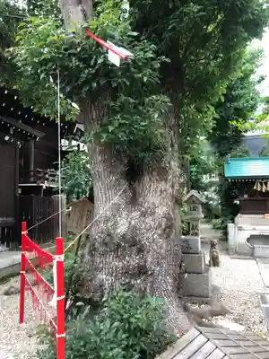 三輪神社のその他建物