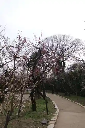 北野天満宮の庭園