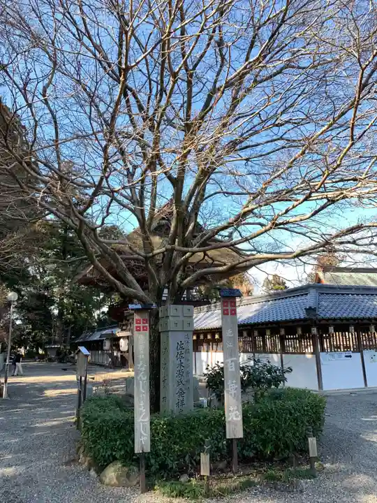 沙沙貴神社の自然