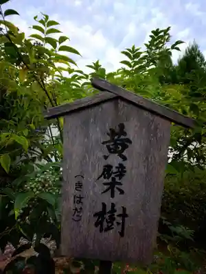 萬福寺(京都府)