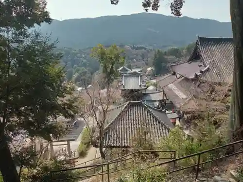 長谷寺(奈良県)