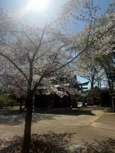 小野神社の{uncategorized: "未分類", other: "その他", undefined: "問題あり", building: "その他建物", grave: "お墓", sacred_gate: "鳥居", guardian: "狛犬", statue: "像", buddha: "仏像", history: "歴史", nature: "自然", garden: "庭園", animal: "動物", pagoda: "塔", temizu: "手水舎", mountain_gate: "山門・神門", sanctuary: "本殿・本堂", subordinate: "末社・摂社", art: "芸術", scenery: "景色", jizo: "地蔵", ema: "絵馬", goshuin: "御朱印", omikuji: "おみくじ", items: "授与品その他", amulet: "お守り", goshuincho: "御朱印帳", eats: "食事", festival: "お祭り", votive_dance: "神楽", shichigosan: "七五三参", wedding: "結婚式", experience: "体験その他", initially: "初詣", around: "周辺", anti_infection: "感染症対策"}