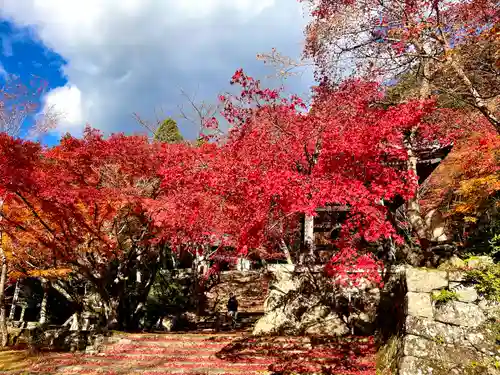 東光寺(滋賀県)