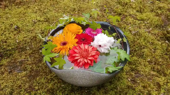 勝林寺の手水舎