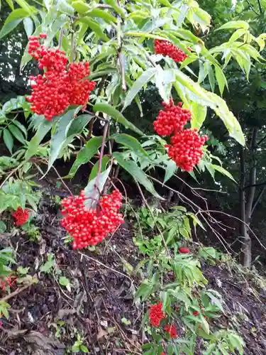 星置神社の自然