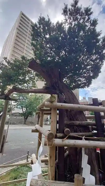 歌懸稲荷神社(山形県)