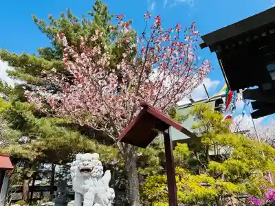 北見神社の{uncategorized: "未分類", other: "その他", undefined: "問題あり", building: "その他建物", grave: "お墓", sacred_gate: "鳥居", guardian: "狛犬", statue: "像", buddha: "仏像", history: "歴史", nature: "自然", garden: "庭園", animal: "動物", pagoda: "塔", temizu: "手水舎", mountain_gate: "山門・神門", sanctuary: "本殿・本堂", subordinate: "末社・摂社", art: "芸術", scenery: "景色", jizo: "地蔵", ema: "絵馬", goshuin: "御朱印", omikuji: "おみくじ", items: "授与品その他", amulet: "お守り", goshuincho: "御朱印帳", eats: "食事", festival: "お祭り", votive_dance: "神楽", shichigosan: "七五三参", wedding: "結婚式", experience: "体験その他", initially: "初詣", around: "周辺", anti_infection: "感染症対策"}
