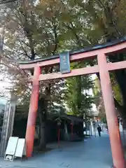 赤城神社の鳥居