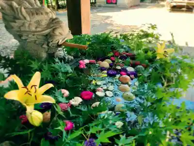滑川神社 - 仕事と子どもの守り神の手水舎