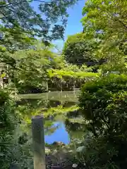 富士山本宮浅間大社(静岡県)