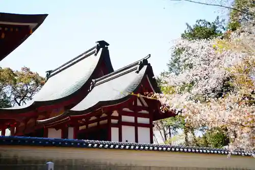 薦神社の本殿