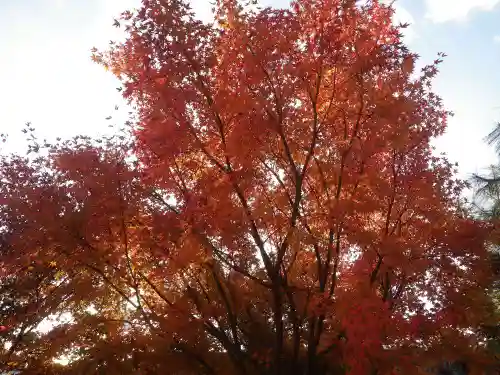 弘法寺(山口県)