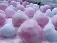 彌彦神社 (伊夜日子神社)の芸術