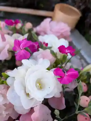 本郷氷川神社(東京都)