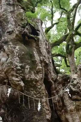 宇美八幡宮(福岡県)