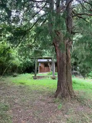 大六神社(千葉県)