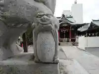 柏神社の狛犬