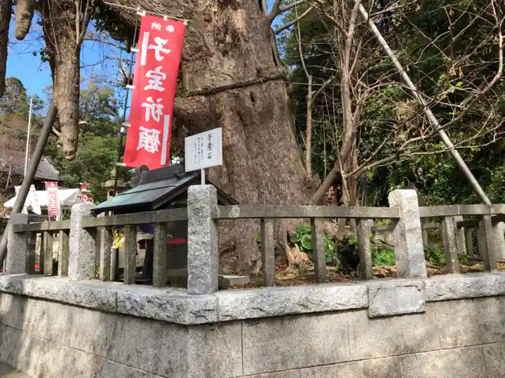 海南神社の自然