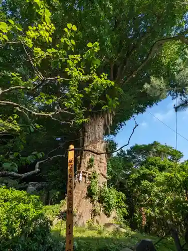 荏柄天神社(神奈川県)