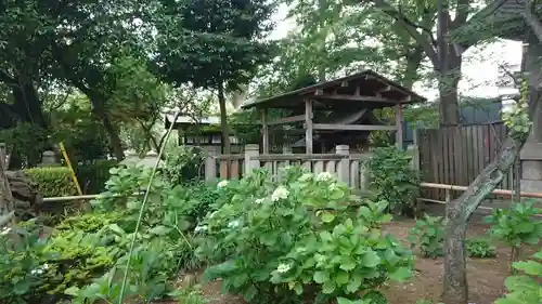 白山神社の庭園