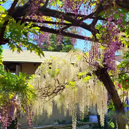行興寺(静岡県)