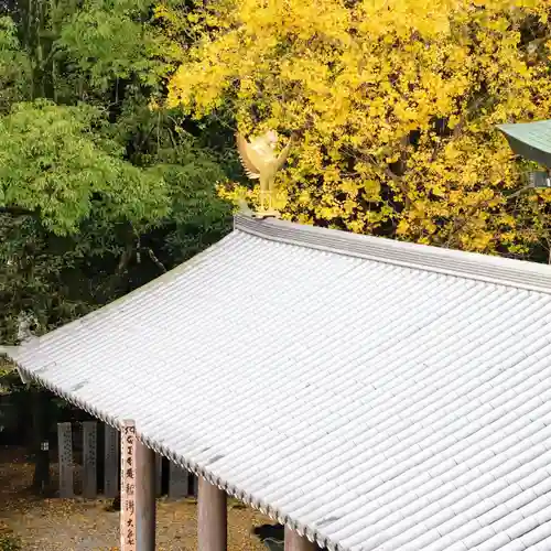 温泉山 安楽寺(四国霊場第六番札所)のその他建物