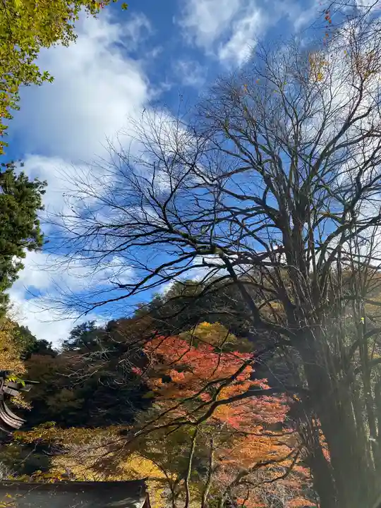 貴船神社の自然