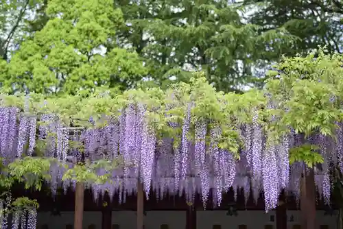 笠間稲荷神社の周辺