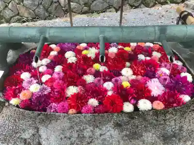 岡寺（龍蓋寺）の手水舎