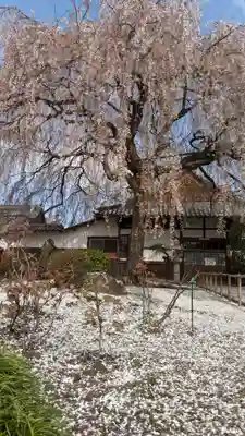 本満寺(本願満足寺)(京都府)