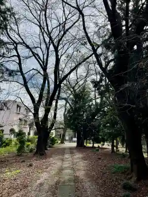 関間神明神社(埼玉県)