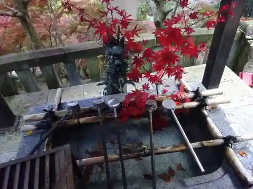 大山寺の手水舎