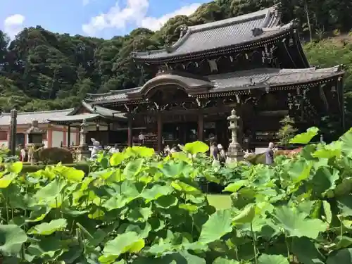 三室戸寺の建物その他