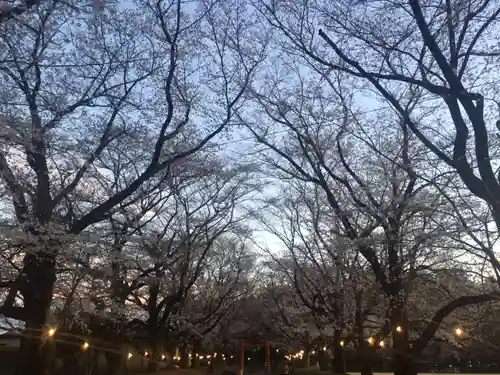 東蕗田天満社の自然