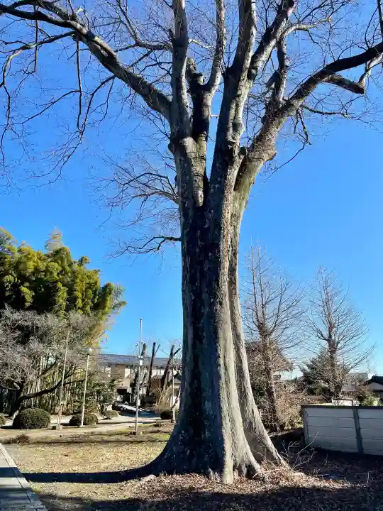 慈眼寺の{uncategorized: "未分類", other: "その他", undefined: "問題あり", building: "その他建物", grave: "お墓", sacred_gate: "鳥居", guardian: "狛犬", statue: "像", buddha: "仏像", history: "歴史", nature: "自然", garden: "庭園", animal: "動物", pagoda: "塔", temizu: "手水舎", mountain_gate: "山門・神門", sanctuary: "本殿・本堂", subordinate: "末社・摂社", art: "芸術", scenery: "景色", jizo: "地蔵", ema: "絵馬", goshuin: "御朱印", omikuji: "おみくじ", items: "授与品その他", amulet: "お守り", goshuincho: "御朱印帳", eats: "食事", festival: "お祭り", votive_dance: "神楽", shichigosan: "七五三参", wedding: "結婚式", experience: "体験その他", initially: "初詣", around: "周辺", anti_infection: "感染症対策"}