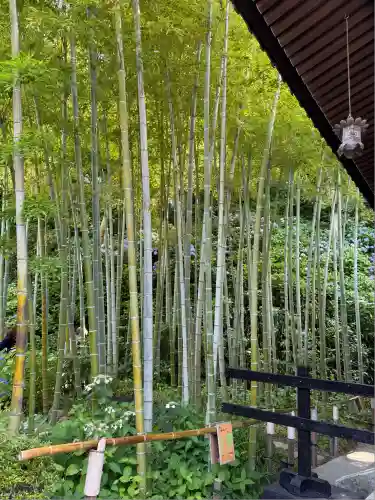 長谷寺(神奈川県)