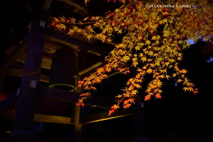 長谷寺(神奈川県)