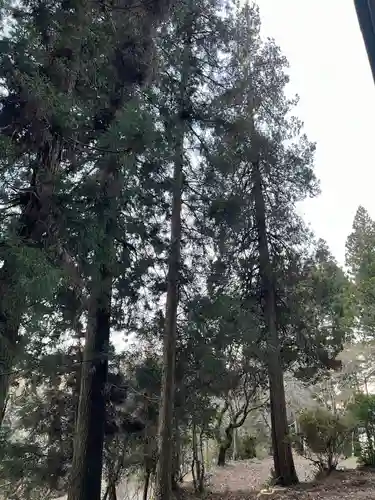 大宮温泉神社(栃木県)