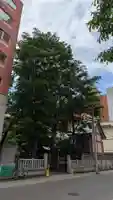 三吉神社の自然