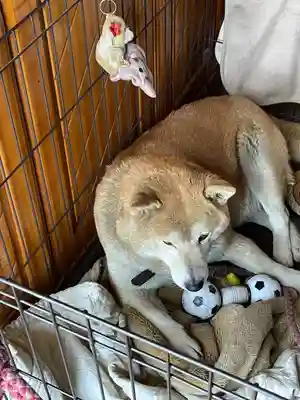 笠䅣稲荷神社(神奈川県)