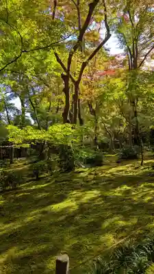 祇王寺(京都府)